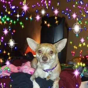 Meet your Posher, Rena